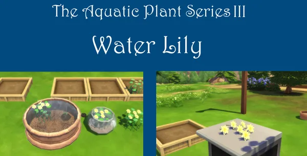 Water Lily Harvestable